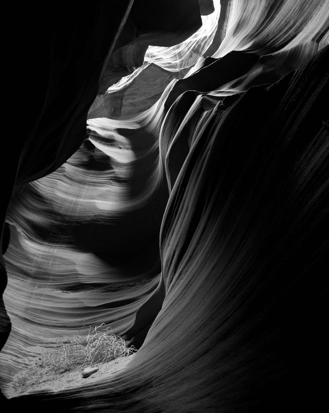 Image of our Sponsor