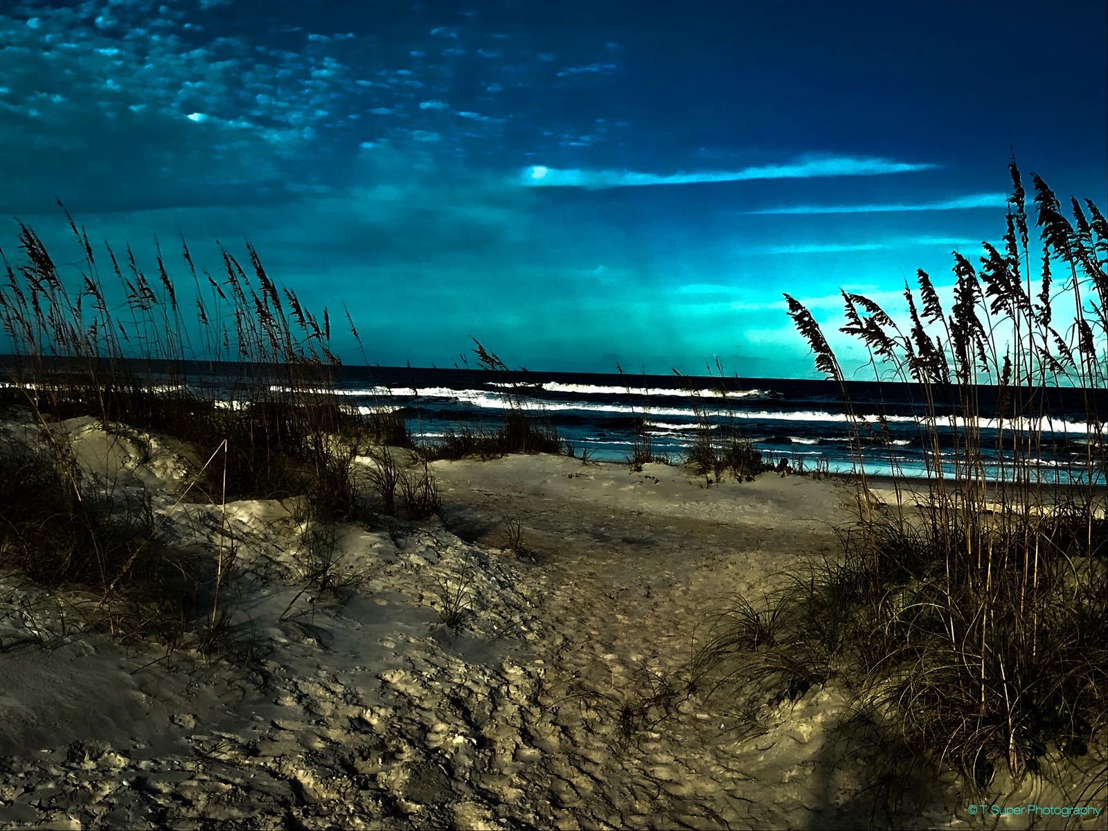 Image of our Sponsor