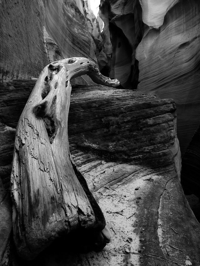 Image of our Sponsor