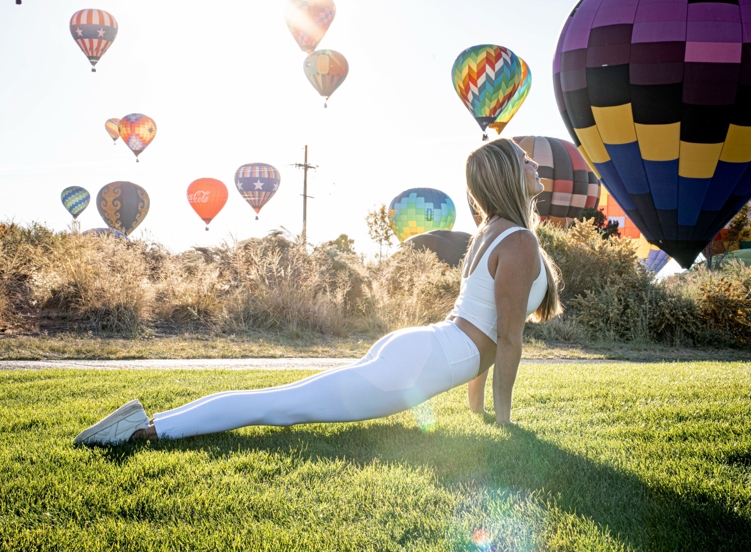 Image of our Sponsor